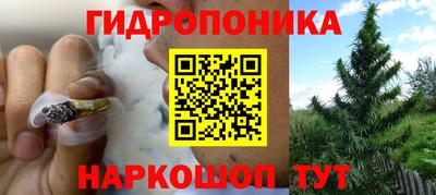 прущая мука Будённовск