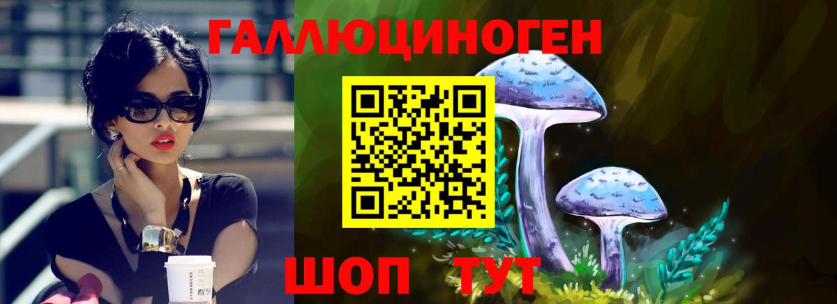 Галлюциногенные грибы прущие грибы Долгопрудный